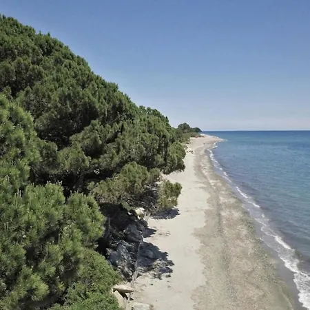 Paesolu * Cervione